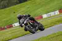 Middle Group Silver_Grey Bikes